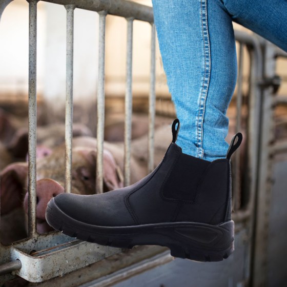 Bova Chelsea Instagram